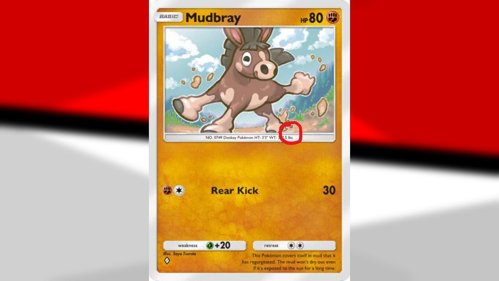 Mudbray in PTCGP (Image via TPC)